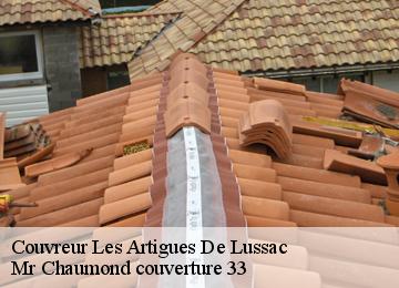 Couvreur les-artigues-de-lussac-33570 Couvreur Bauer