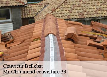 Couvreur  bellebat-33760 Mr Chaumond couverture 33