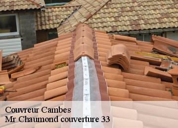 Couvreur  cambes-33880 Mr Chaumond couverture 33