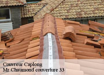 Couvreur  caplong-33220 Mr Chaumond couverture 33