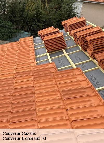 Couvreur cazalis-33113 Couvreur Bordeaux 33