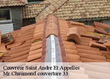 Couvreur  saint-andre-et-appelles-33220 Mr Chaumond couverture 33