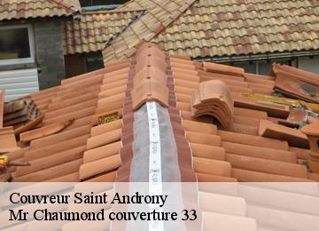 Couvreur  saint-androny-33390 Mr Chaumond couverture 33