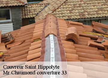 Couvreur saint-hippolyte-33330 Couvreur Bauer