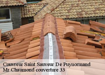 Couvreur saint-sauveur-de-puynormand-33660 Mr Chaumond couverture 33