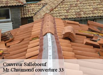 Couvreur  salleboeuf-33370 Mr Chaumond couverture 33