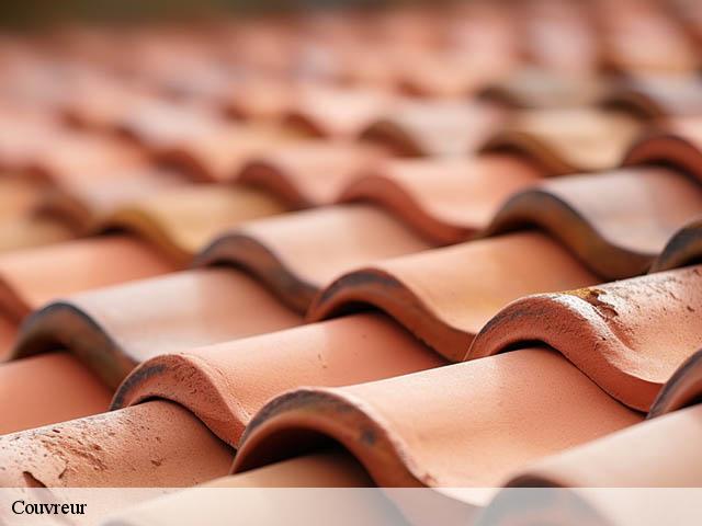 Couvreur  villenave-de-rions-33550 Couvreur Bordeaux 33