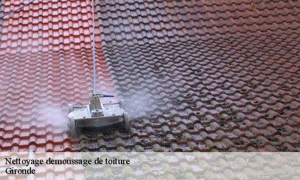 Nettoyage demoussage de toiture 33 Gironde  Couvreur Bordeaux 33