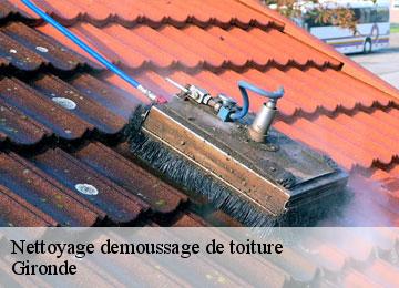 Nettoyage demoussage de toiture Gironde 