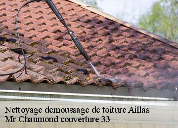 Nettoyage demoussage de toiture  aillas-33124 Mr Chaumond couverture 33