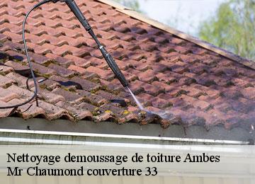 Nettoyage demoussage de toiture  ambes-33810 Mr Chaumond couverture 33