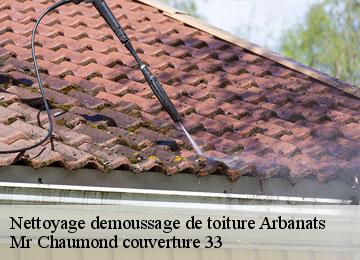 Nettoyage demoussage de toiture arbanats-33640 Mr Chaumond couverture 33