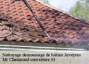 Nettoyage demoussage de toiture  arveyres-33500 Mr Chaumond couverture 33