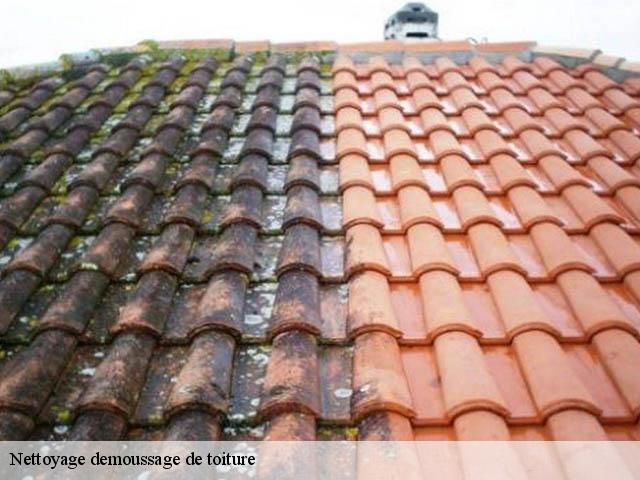 Nettoyage demoussage de toiture  balizac-33730 Couvreur Bordeaux 33