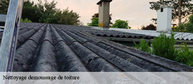 Nettoyage demoussage de toiture  bazas-33430 Couvreur Bordeaux 33