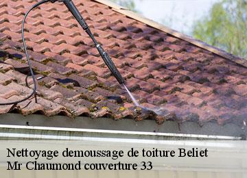 Nettoyage demoussage de toiture  beliet-33830 Mr Chaumond couverture 33