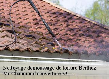 Nettoyage demoussage de toiture  berthez-33124 Mr Chaumond couverture 33