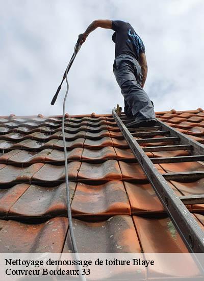 Nettoyage demoussage de toiture blaye-33390 Couvreur Bordeaux 33