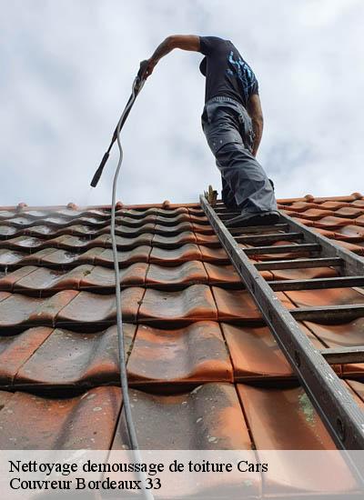 Nettoyage demoussage de toiture cars-33390 Couvreur Bordeaux 33