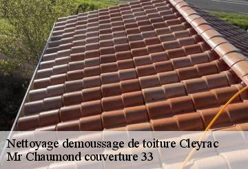 Nettoyage demoussage de toiture