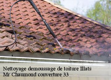 Nettoyage demoussage de toiture  illats-33720 Mr Chaumond couverture 33