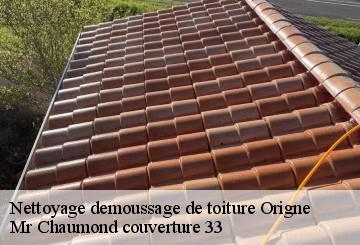 Nettoyage demoussage de toiture