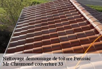 Nettoyage demoussage de toiture