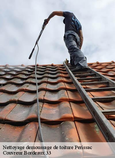 Nettoyage demoussage de toiture  perissac-33240 Couvreur Bordeaux 33