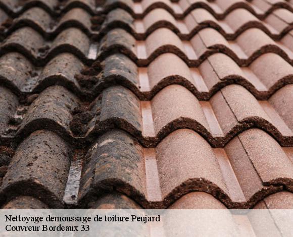 Nettoyage demoussage de toiture  peujard-33240 Couvreur Bordeaux 33