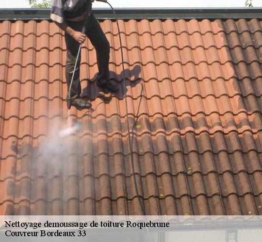Nettoyage demoussage de toiture  roquebrune-33580 Couvreur Bordeaux 33