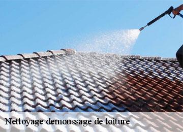 Nettoyage demoussage de toiture