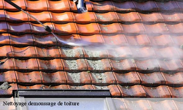 Nettoyage demoussage de toiture  sainte-eulalie-33560 Couvreur Bordeaux 33