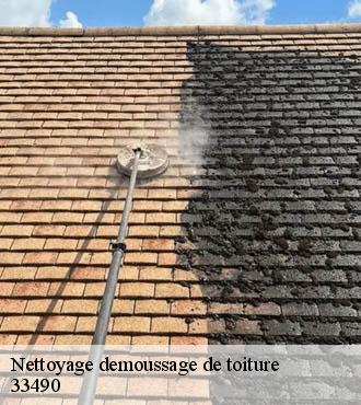 Nettoyage demoussage de toiture  saint-germain-de-graves-33490 Couvreur Bordeaux 33