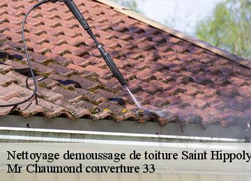Nettoyage demoussage de toiture saint-hippolyte-33330 Mr Chaumond couverture 33