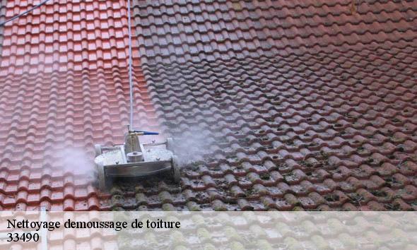 Nettoyage demoussage de toiture  saint-martin-de-sescas-33490 Couvreur Bordeaux 33