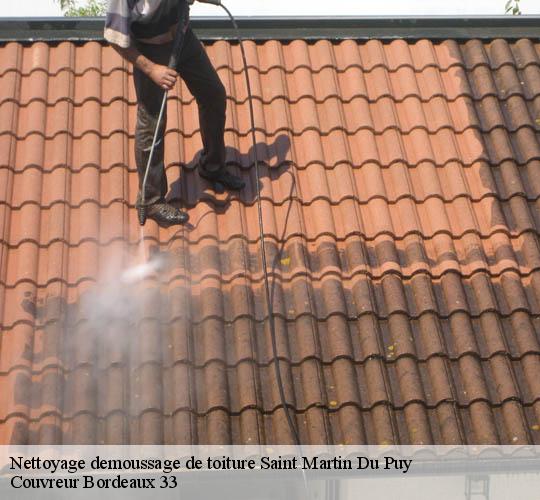 Nettoyage demoussage de toiture  saint-martin-du-puy-33540 Couvreur Bordeaux 33