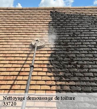 Nettoyage demoussage de toiture  saint-michel-de-rieufret-33720 Couvreur Bordeaux 33