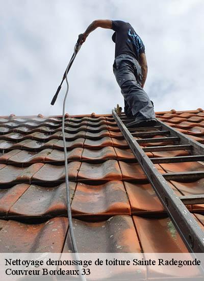 Nettoyage demoussage de toiture  sainte-radegonde-33350 Couvreur Bordeaux 33