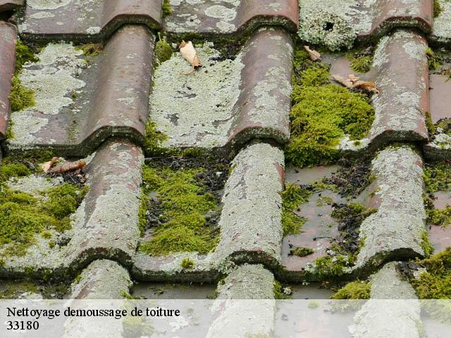 Nettoyage demoussage de toiture  vertheuil-33180 Couvreur Bordeaux 33