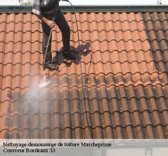 Nettoyage demoussage de toiture  marcheprime-33380 Couvreur Bordeaux 33