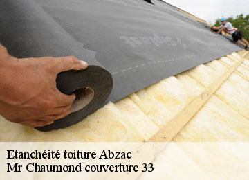 Etanchéité toiture  abzac-33230 Mr Chaumond couverture 33