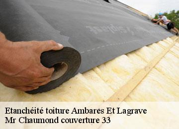 Etanchéité toiture  ambares-et-lagrave-33440 Mr Chaumond couverture 33