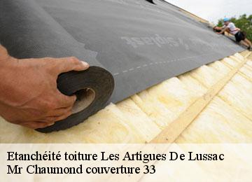 Etanchéité toiture les-artigues-de-lussac-33570 Couvreur Bauer
