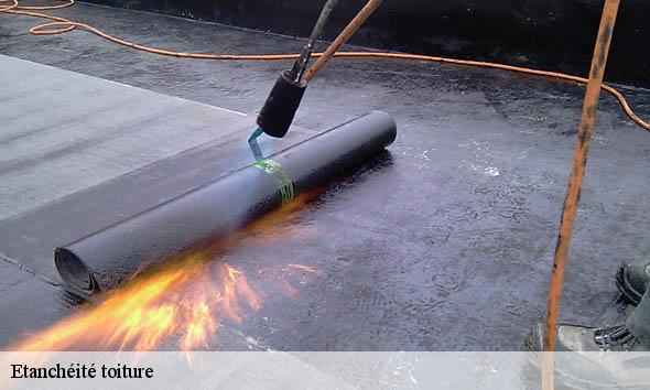 Etanchéité toiture  branne-33420 Couvreur Bordeaux 33