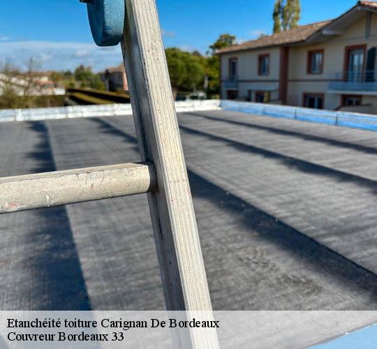 Etanchéité toiture  carignan-de-bordeaux-33360 Couvreur Bordeaux 33