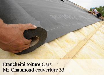 Etanchéité toiture cars-33390 Mr Chaumond couverture 33