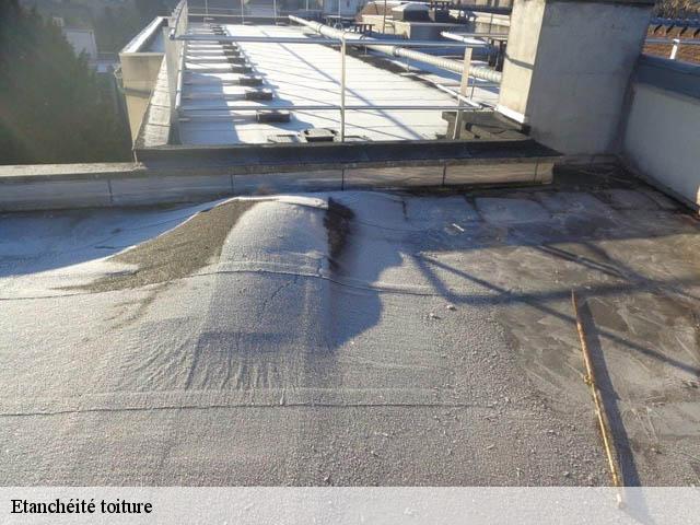 Etanchéité toiture  castillon-la-bataille-33350 Couvreur Bordeaux 33