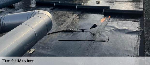 Etanchéité toiture  flaujagues-33350 Couvreur Bordeaux 33