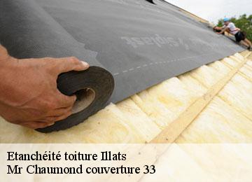 Etanchéité toiture  illats-33720 Mr Chaumond couverture 33