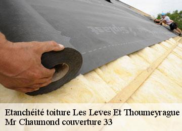 Etanchéité toiture  les-leves-et-thoumeyrague-33220 Mr Chaumond couverture 33